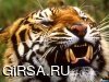 Влад6